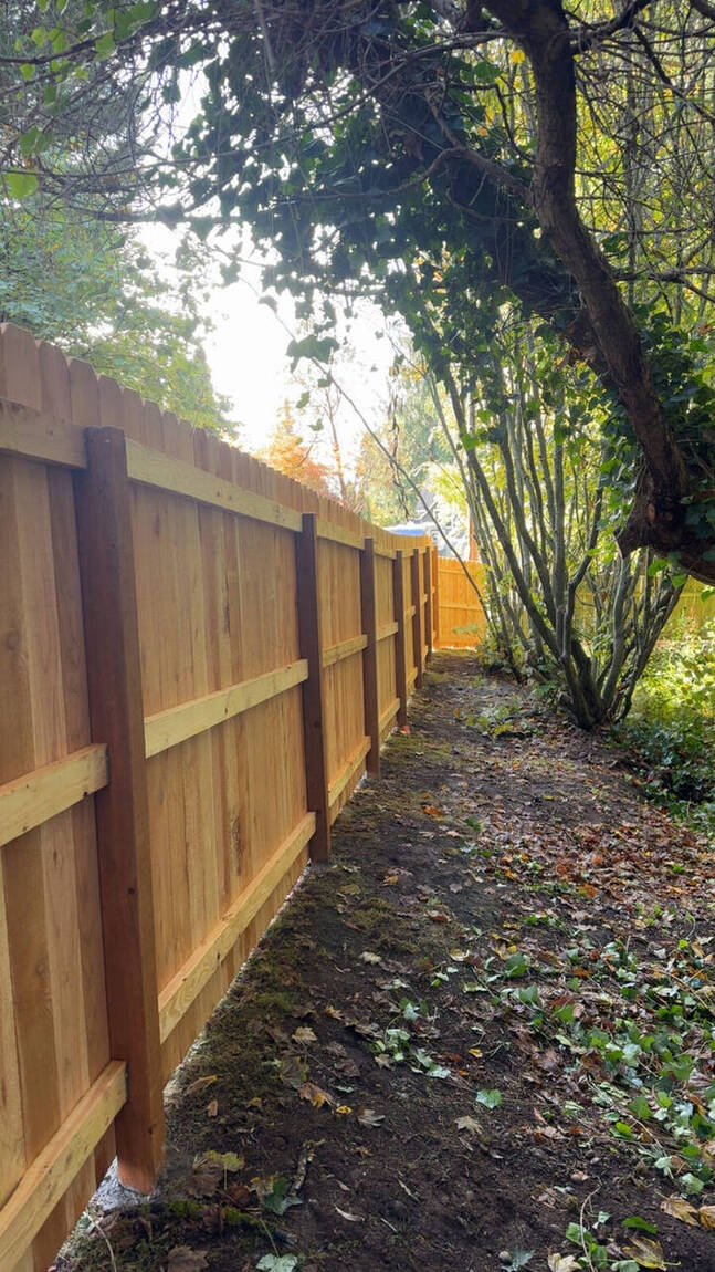 Cedar fence and pathway