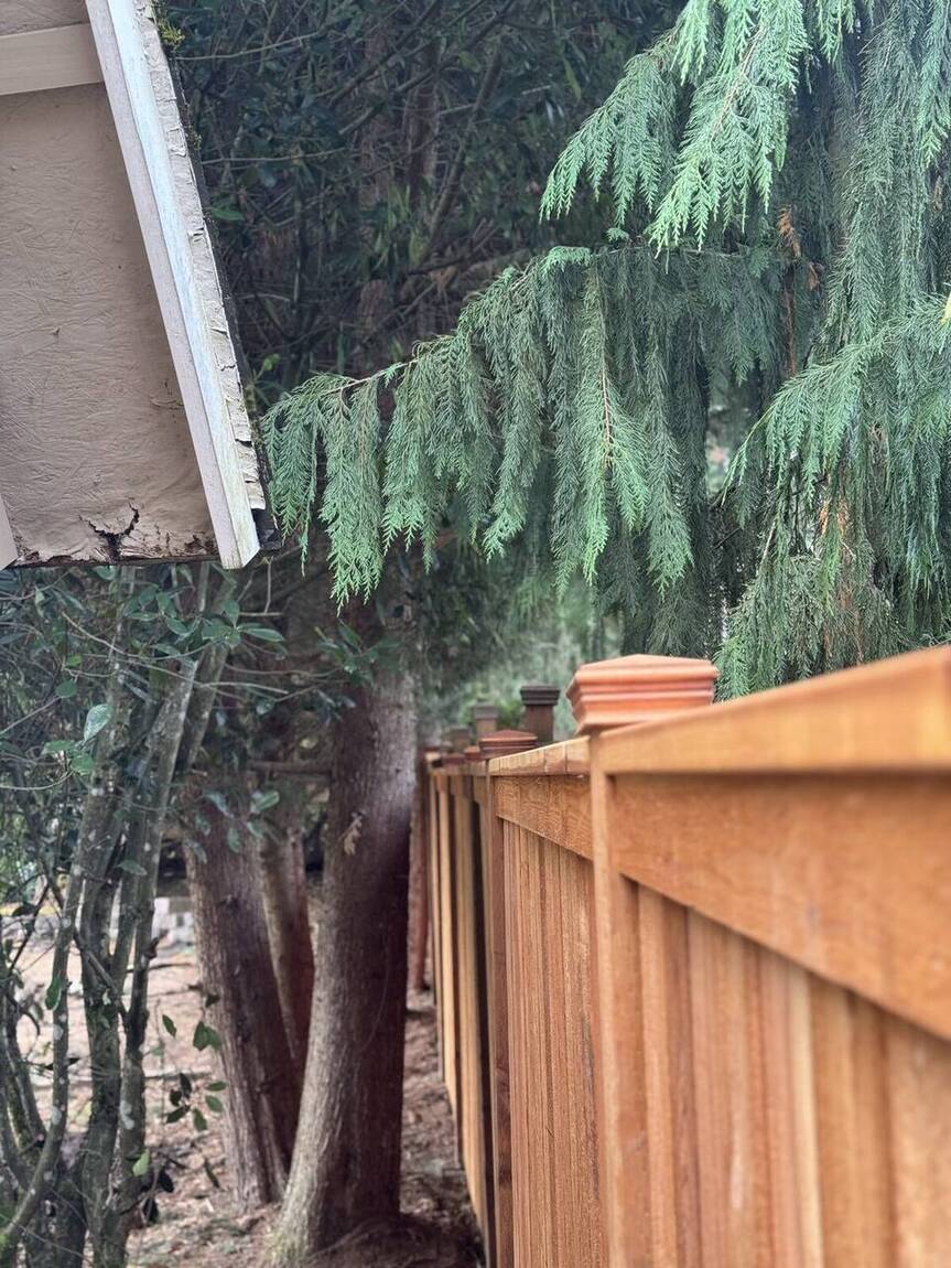 Custom cedar fence